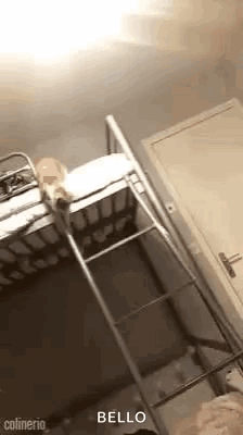 Person Standing On Bunk Bed With Ladder GIF