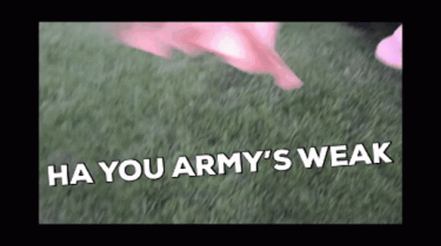 Person Standing on Grassy Field Saying Ha You Army's Weak
