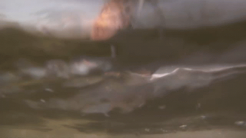 Person Swimming in Ocean With Head Above Water