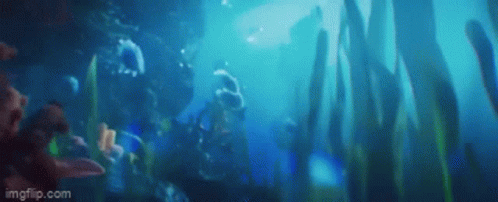 Person Swimming in Ocean with Seaweed and Fish