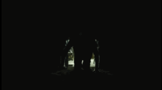 Person Swimming in the Dark