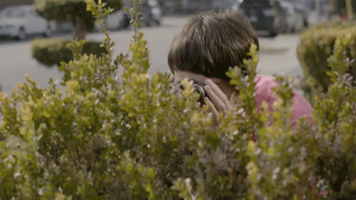 Person Taking Photo Behind Bushes