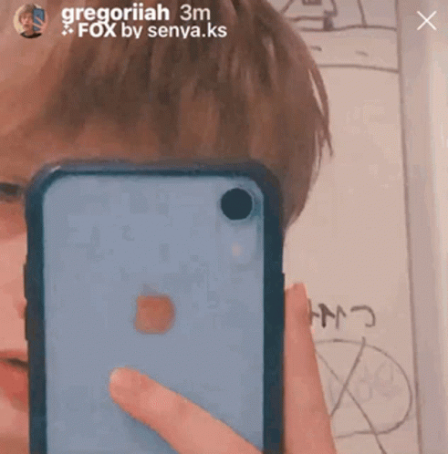 Person Taking Selfie With Phone Gregoriah GIF