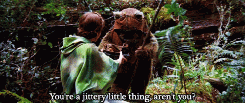 Person Talking to Bear Jittery Little Thing