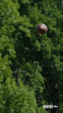 Person Throwing Football In The Air GIF