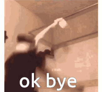 Person Throwing Toilet Paper Roll