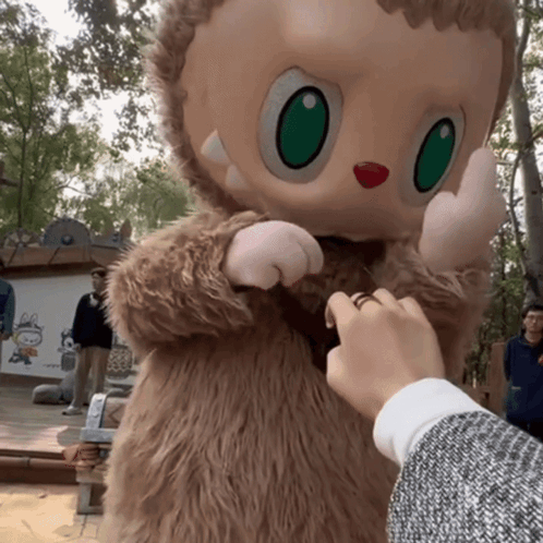 Person Touching Stuffed Animal With Green Eyes
