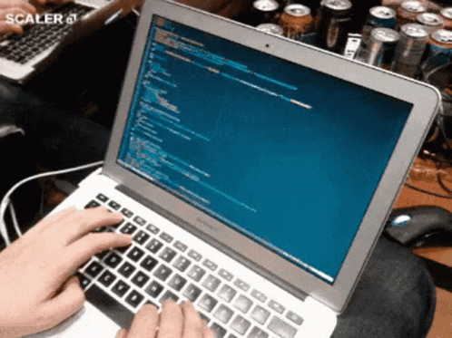 Person Typing on Laptop Scaler 4