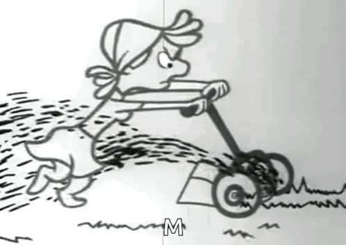 Person Using Lawn Mower