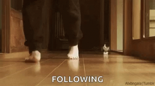 Person Walking Barefoot on Wooden Floor with Cat