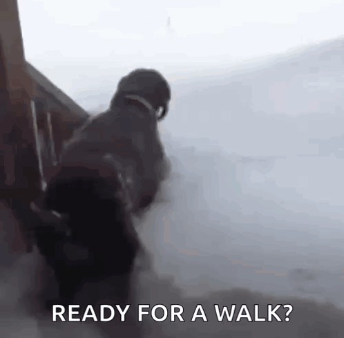 Person Walking Down Snowy Stairs Ready For Walk GIF