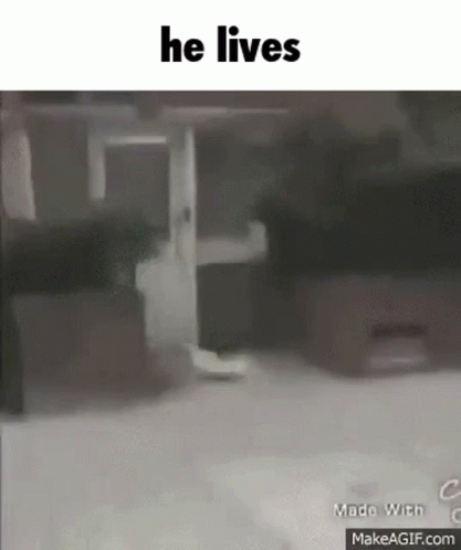 Person Walking Down Street With He Lives GIF