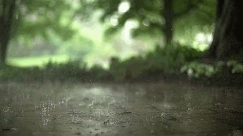 Person Walking in Rain in Woods