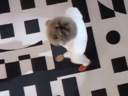 Person Walking on Checkered Floor with Letter N
