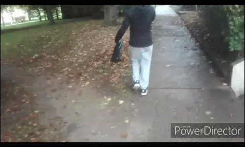 Person Walking On Leaves With PowerDirector Logo GIF