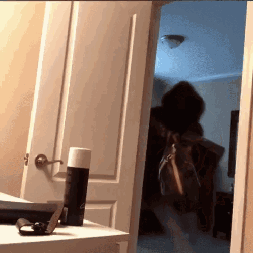Person Walking Through Doorway With Purse GIF