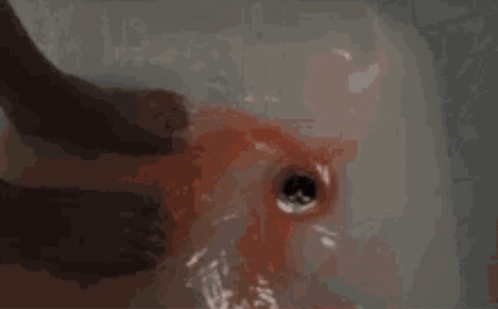 Person Washing Hands in Bloody Sink