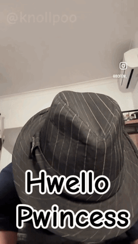 Person Wearing Hello Princess Hat GIF