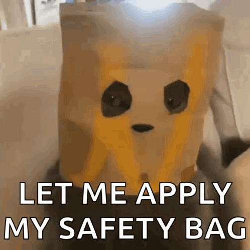 Person Wearing Paper Bag Saying Let Me Apply My Safety Bag