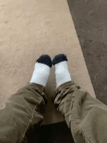 Person Wearing Sheep's Feet Socks