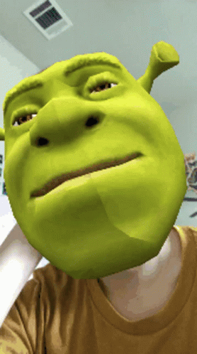 Person Wearing Shrek Face Shirt