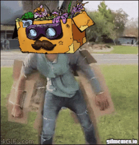 Person With Box on Head Saying 4gifs.com