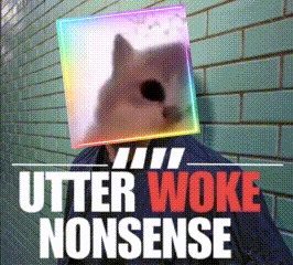 Person With Cat on Head Utter Woke Nonsense