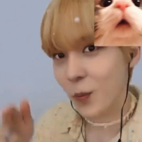 Person With Cat Portrait On Face GIF