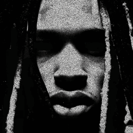 Person With Dreadlocks In Black And White GIF