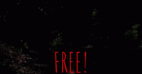 Person With Free Text On Dark Background GIF