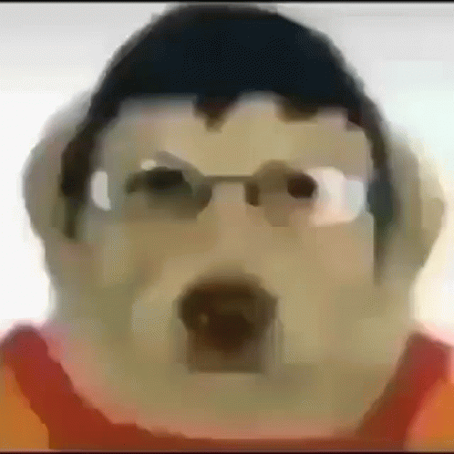 Person With Glasses And Dog Nose GIF