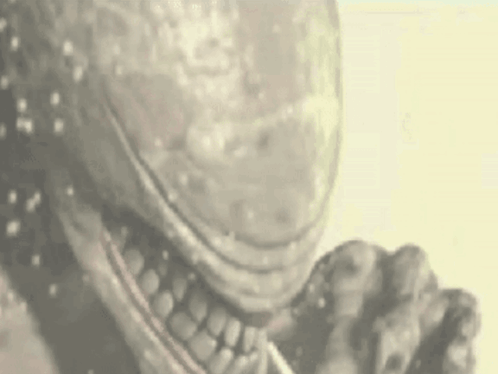 Person With Large Mouth and Teeth