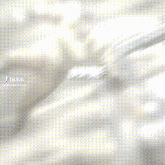 Person With Shark Head Close-Up GIF