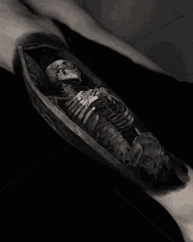 Person With Skeleton In Coffin Tattoo GIF