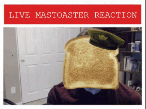 Person With Toast In Front Of Face Live Mastoaster Reaction GIF
