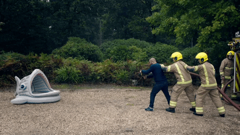 Pet Bed Got Blasted By Water Using Fire Hose GIF