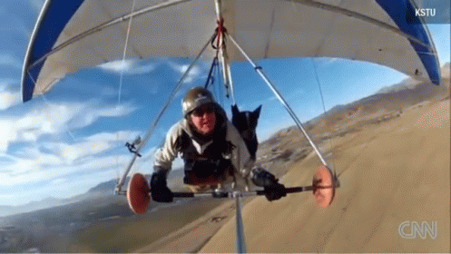 Pet Dog Paragliding GIF