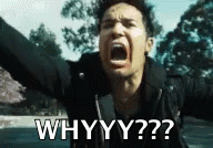 Pete Wentz Screaming Whyyy GIF