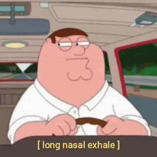 Peter Griffin Driving Car Saying Long Nasal Exhale GIF