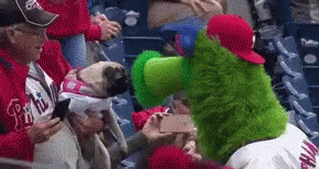 Phanatic Scares Pug Dog GIF