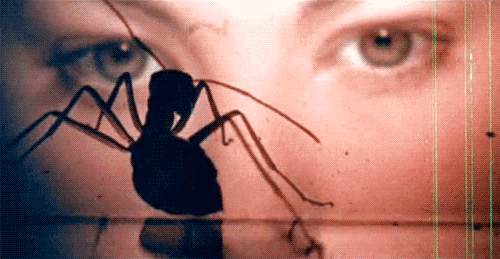 Phase Iv Insect GIF