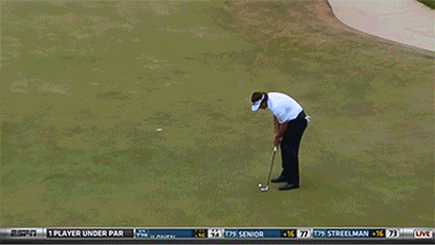 Phil Mickelson Won Golf GIF