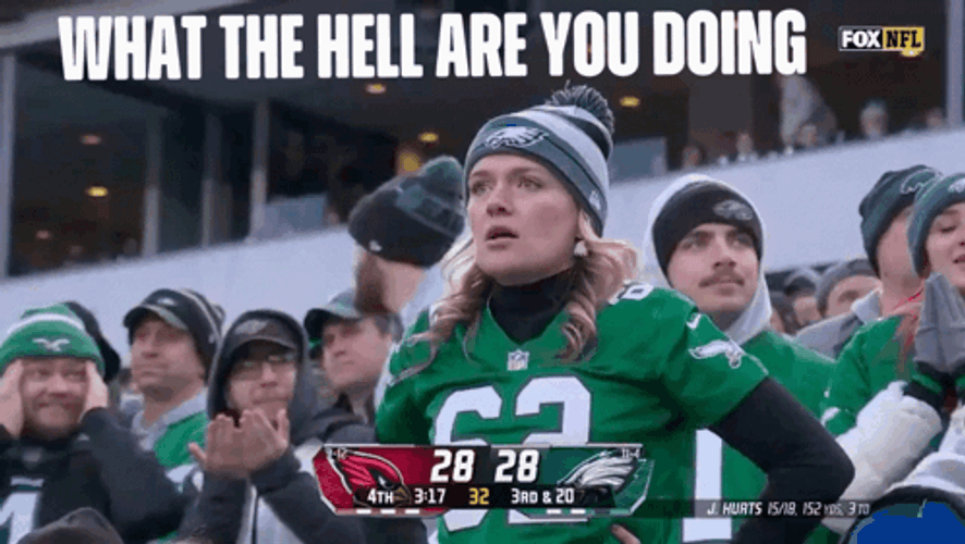 Philadelphia Eagles GIF