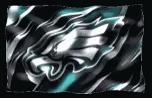 Philadelphia Eagles Flag Windy GIF
