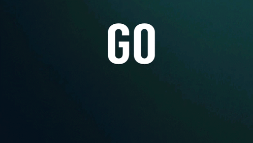 Philadelphia Eagles Go Birds GIF