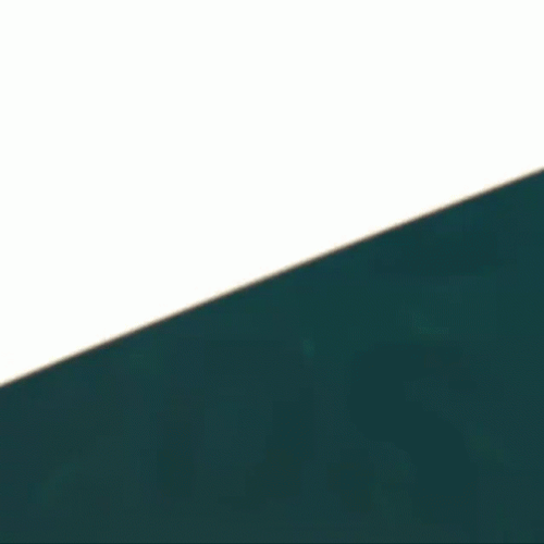 Philadelphia Eagles Logo Touchdown GIF