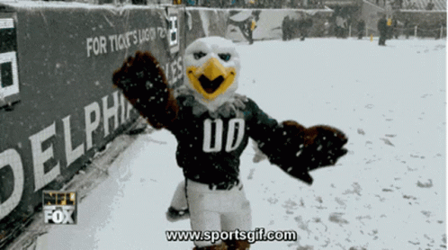 Philadelphia Eagles Mascot Sliding In Snow GIF