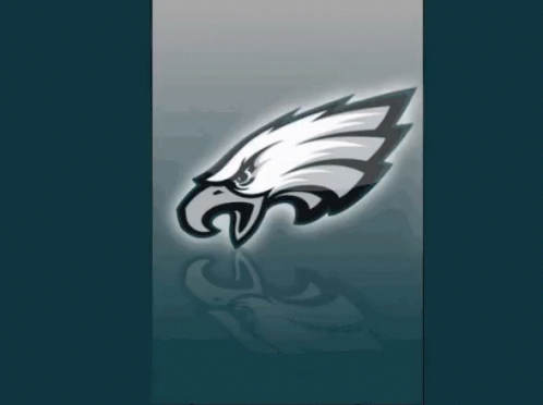 Philadelphia Eagles Philly Birds Retro GIF