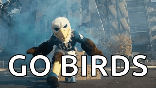 Philadelphia Eagles Swoop Go Birds GIF