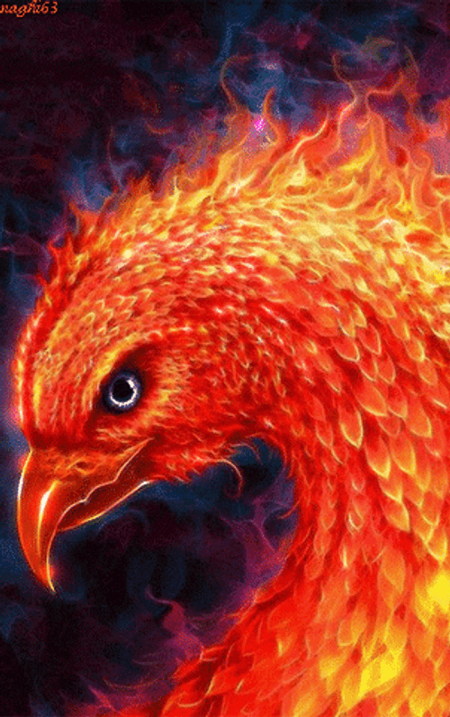 phoenix harry potter gif